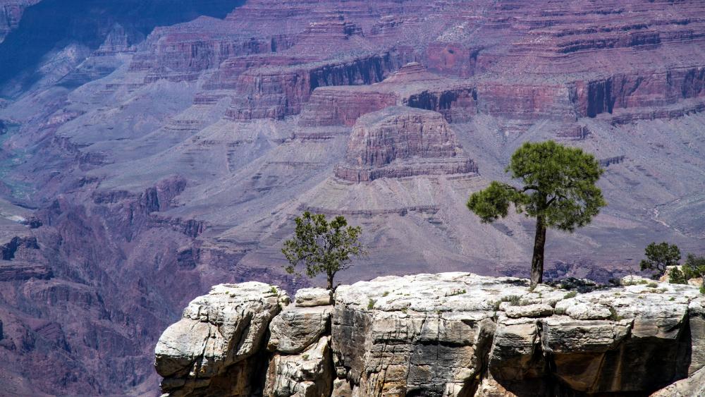 Grand Canyon National Park, Bright Angel Trail wallpaper