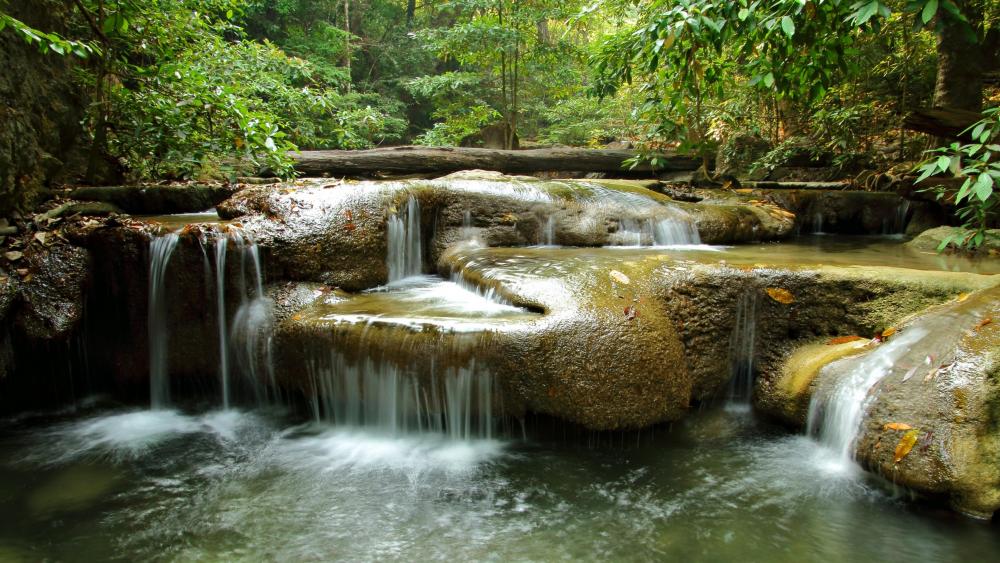 Majestic Forest Waterfall in Lush Greenery wallpaper