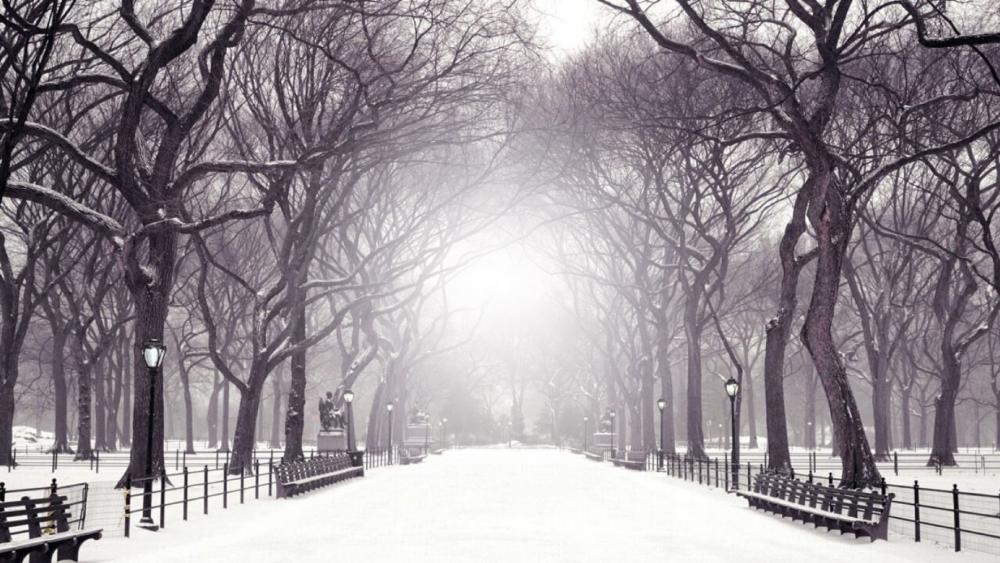 The Mall and Literary Walk in winter wallpaper