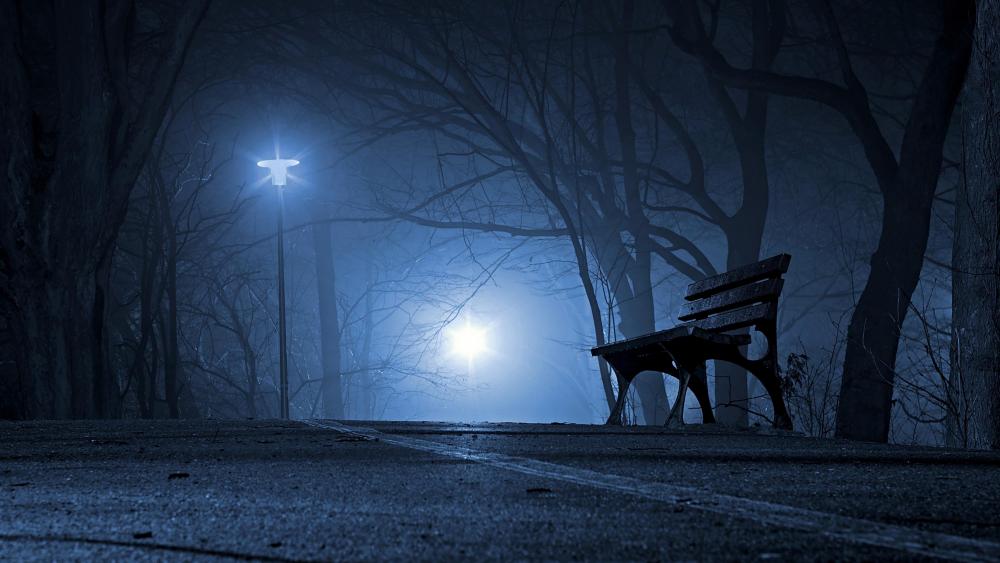 Bench in the night road wallpaper