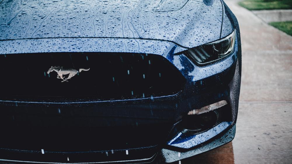 Rainy Day Mustang Muscle wallpaper
