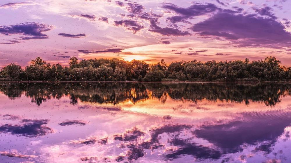 Purple sky reflected in the lake wallpaper