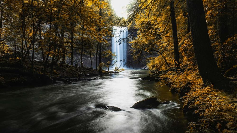 Foster Falls (Sequatchie,Tennessee) wallpaper