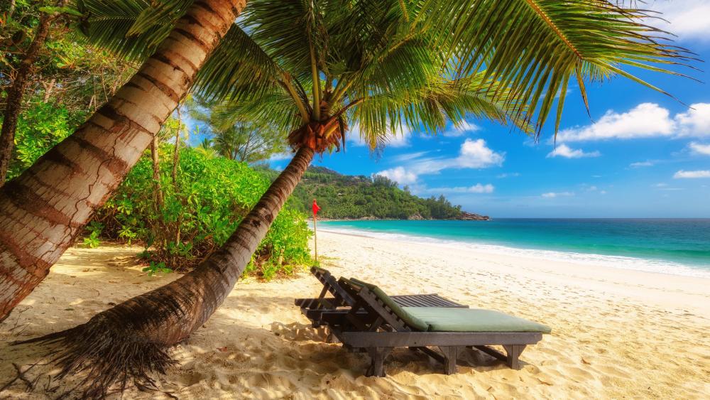 Relax in Seychelles wallpaper