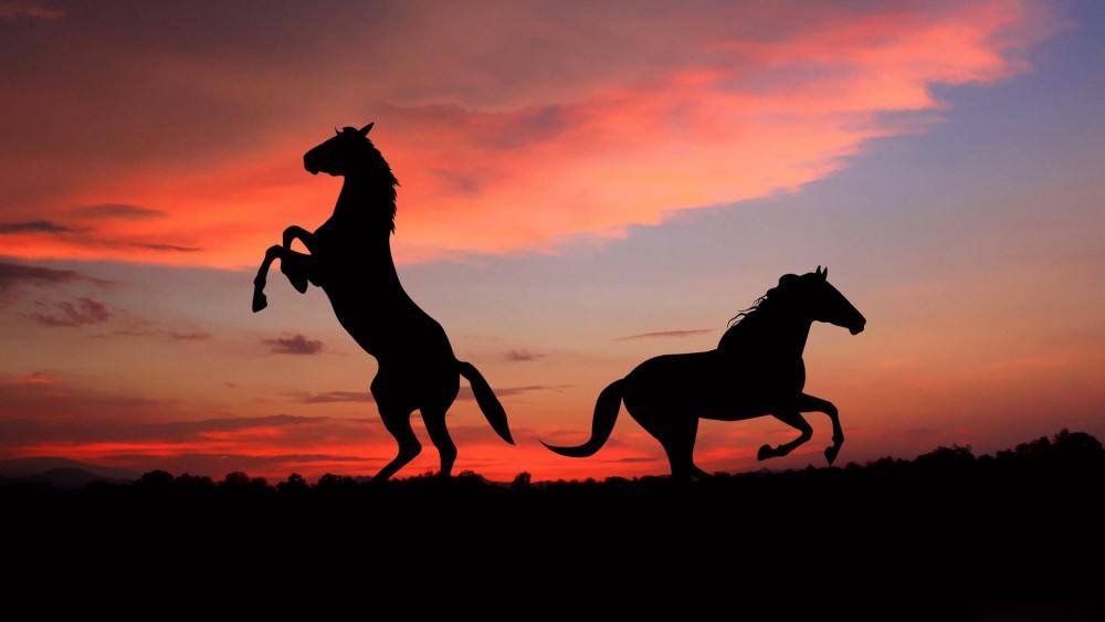 Horse silhouettes wallpaper
