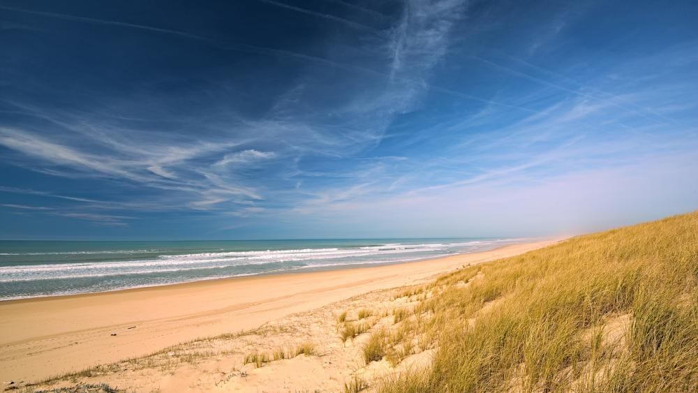 Sandy beach with grassy dune wallpaper