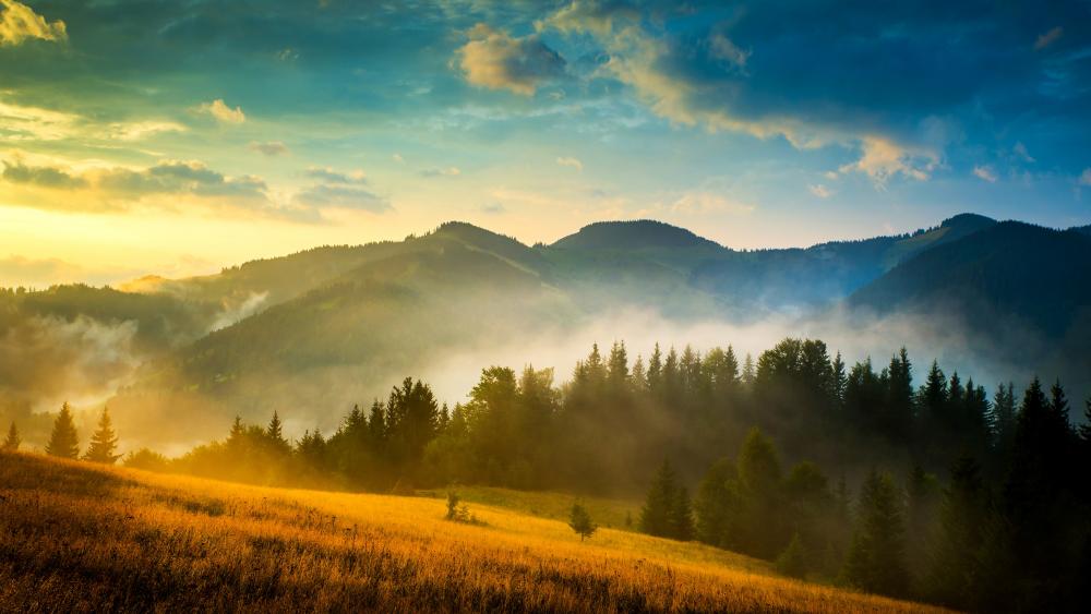 Misty mountains at dawn wallpaper