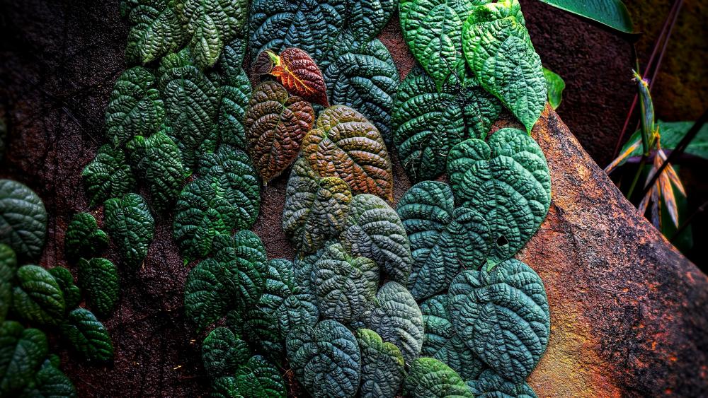 Green leaves macro photo wallpaper