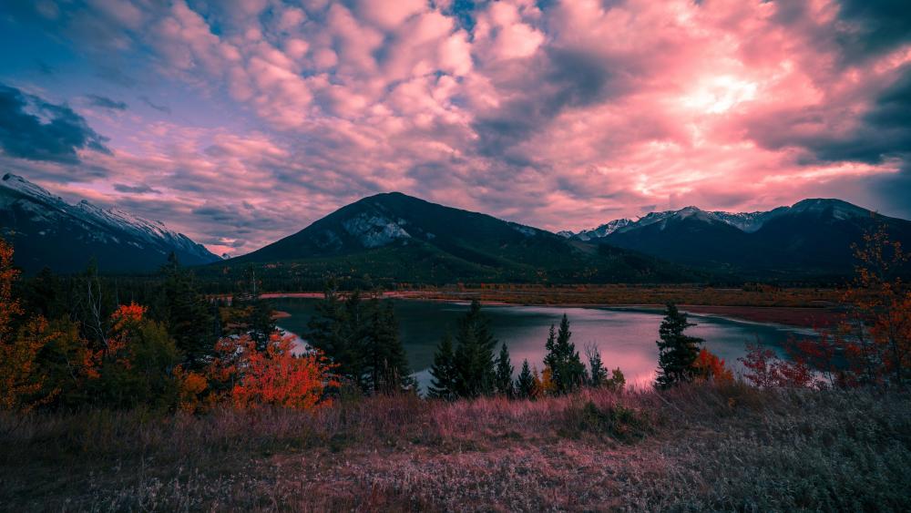 Landscape with pink clouds wallpaper