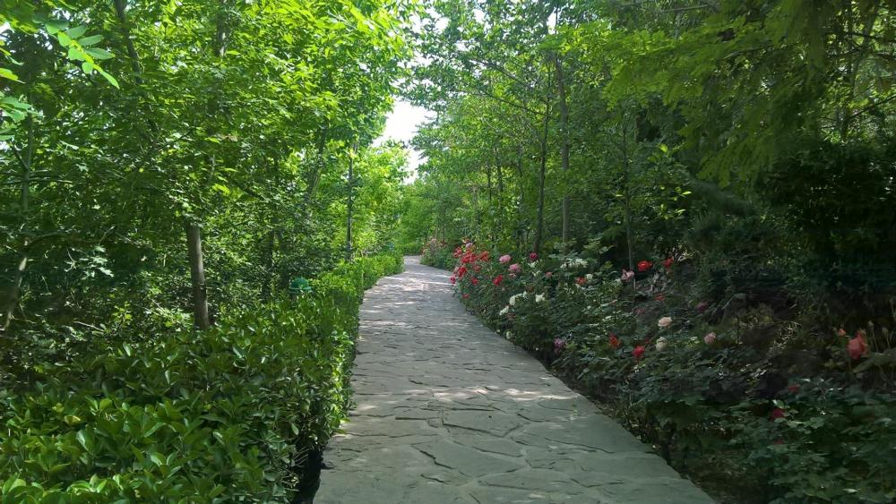 Garden path wallpaper