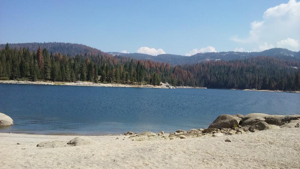 Shaver Lake in the Summer wallpaper