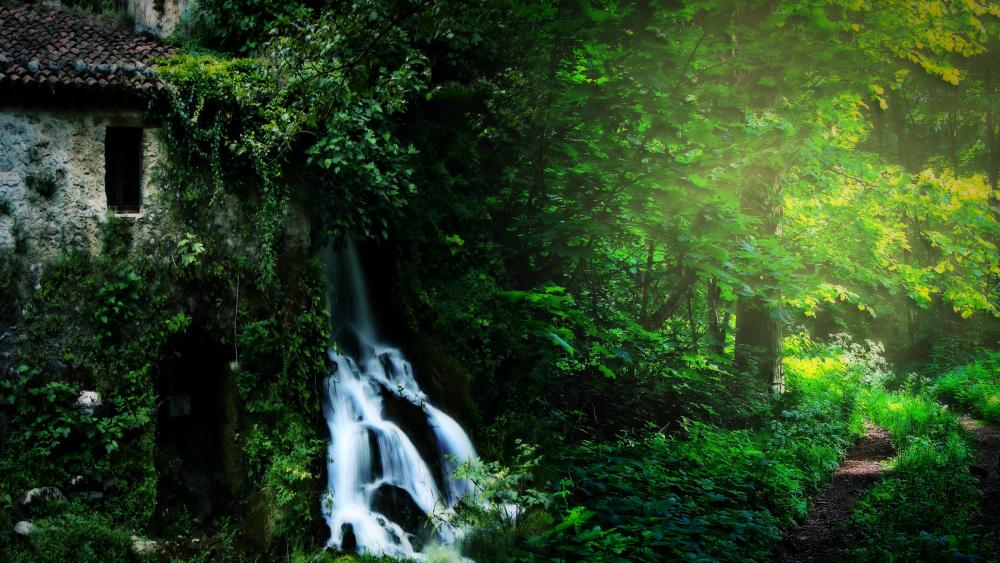Waterfall in the green forest wallpaper