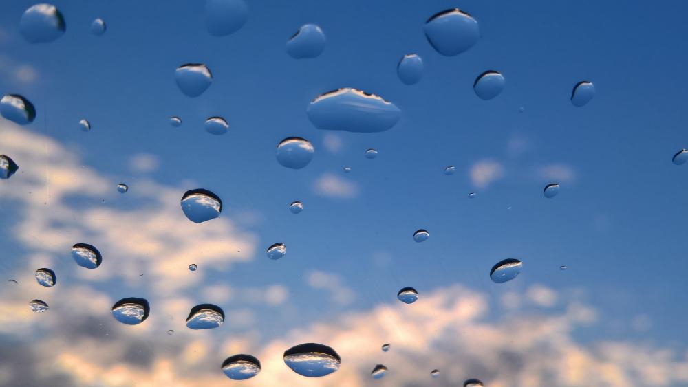 Crystal Clear Raindrops Against a Beautiful Sky wallpaper