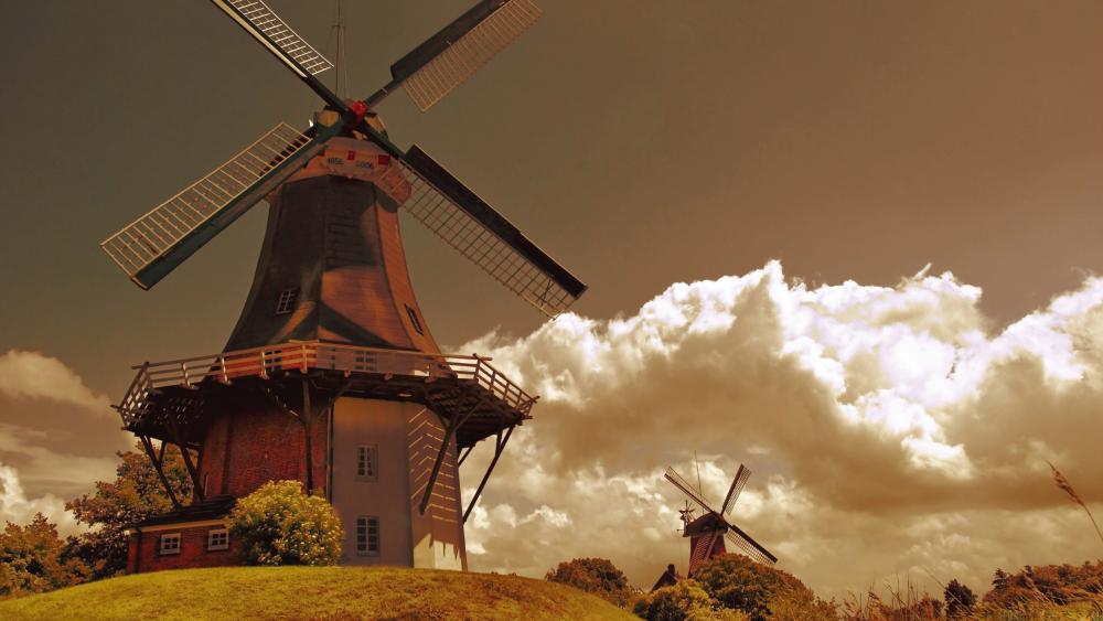 Traditional Dutch windmills wallpaper