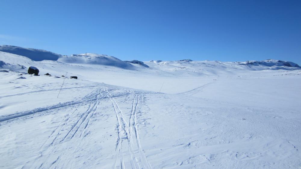 Back country skiing Norway wallpaper