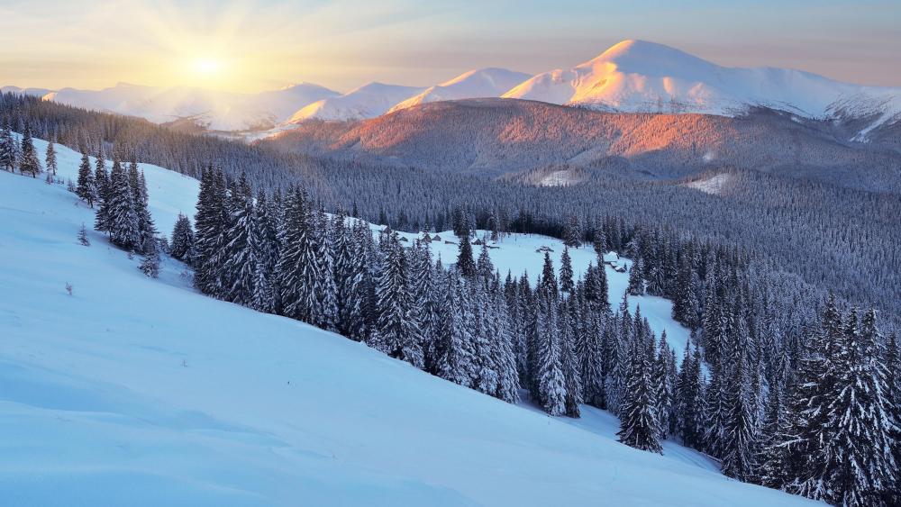 Winter dawn in the mountains wallpaper