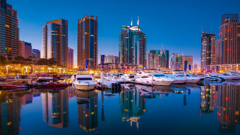 Dubai Marina full with yachts wallpaper