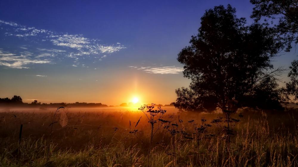 Sunset over the clearing wallpaper