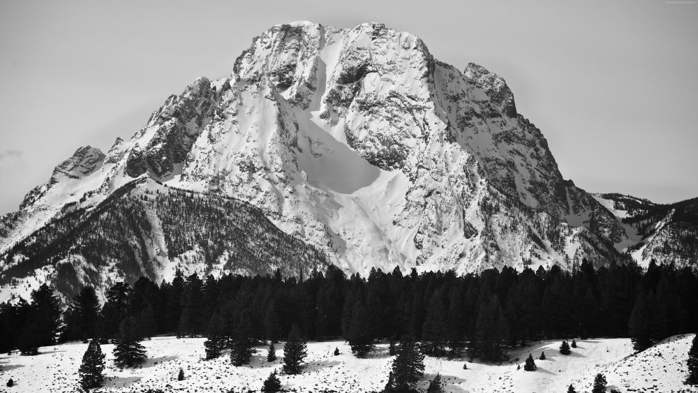 Mount Moran in Black and White wallpaper