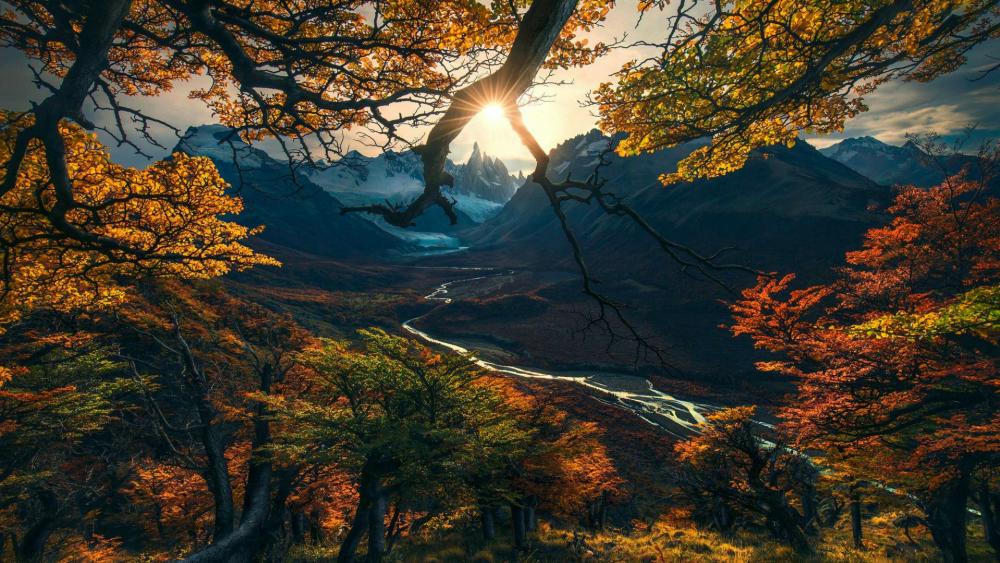 Autumn scenery wallpaper