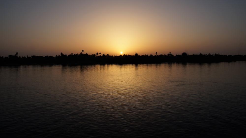 Evening sun at the Nile wallpaper