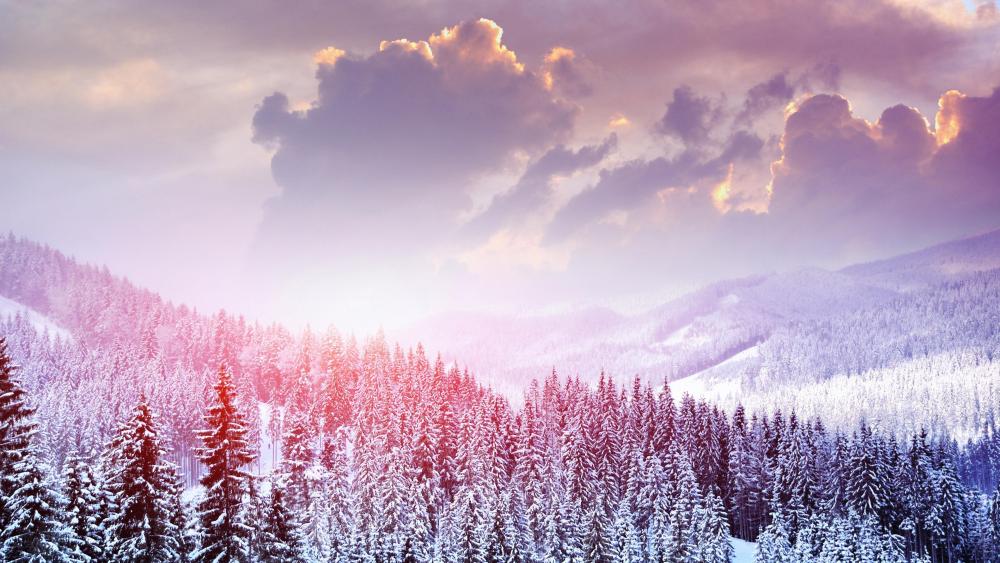 Snowy mountain forest wallpaper