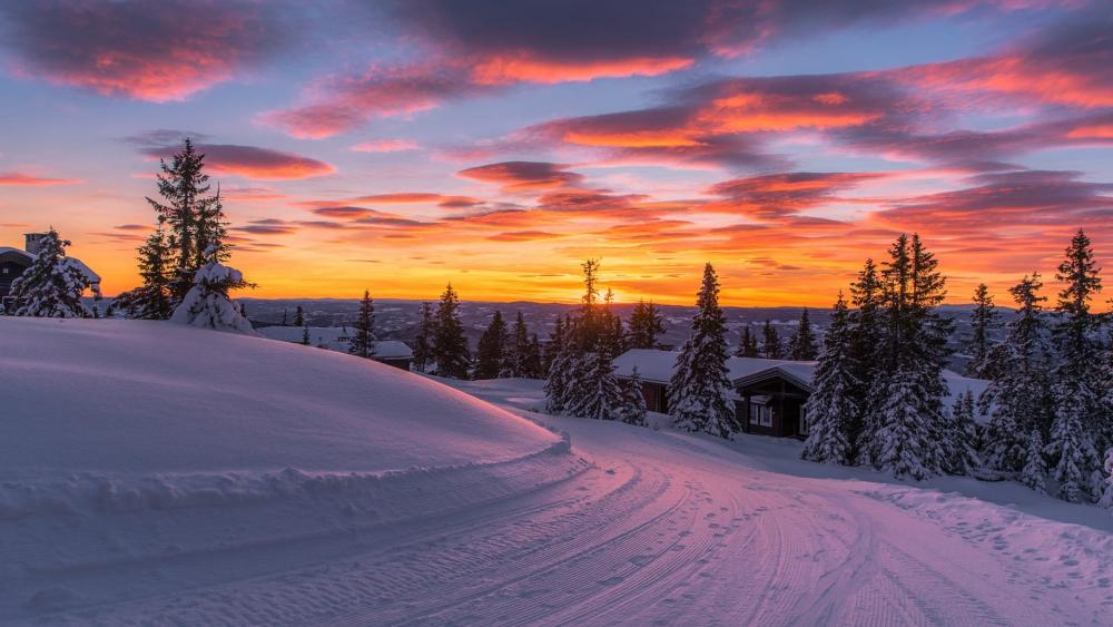 Snowy road wallpaper