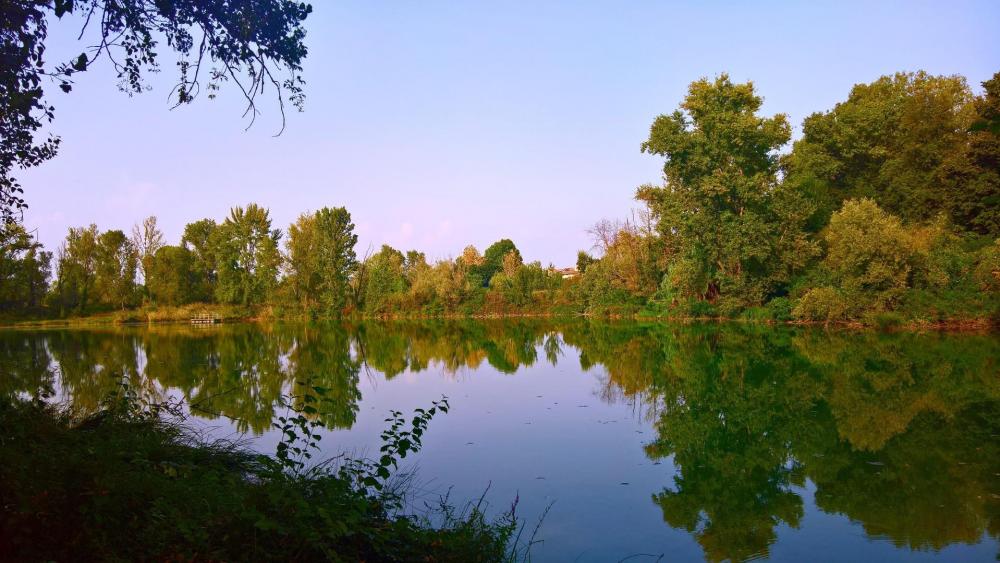 Serene Nature Reflected in Still Waters wallpaper