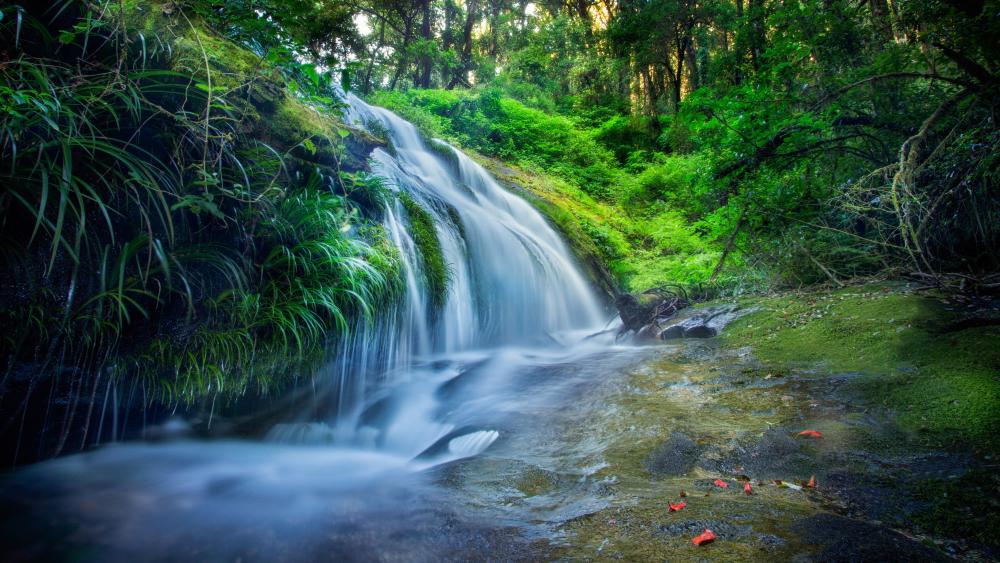 Waterfall in the thick green forest wallpaper