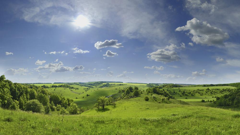 Summer green hills wallpaper