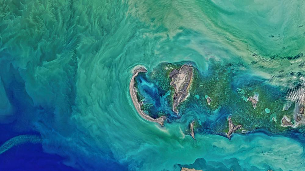 Satellite images of the ocean wallpaper