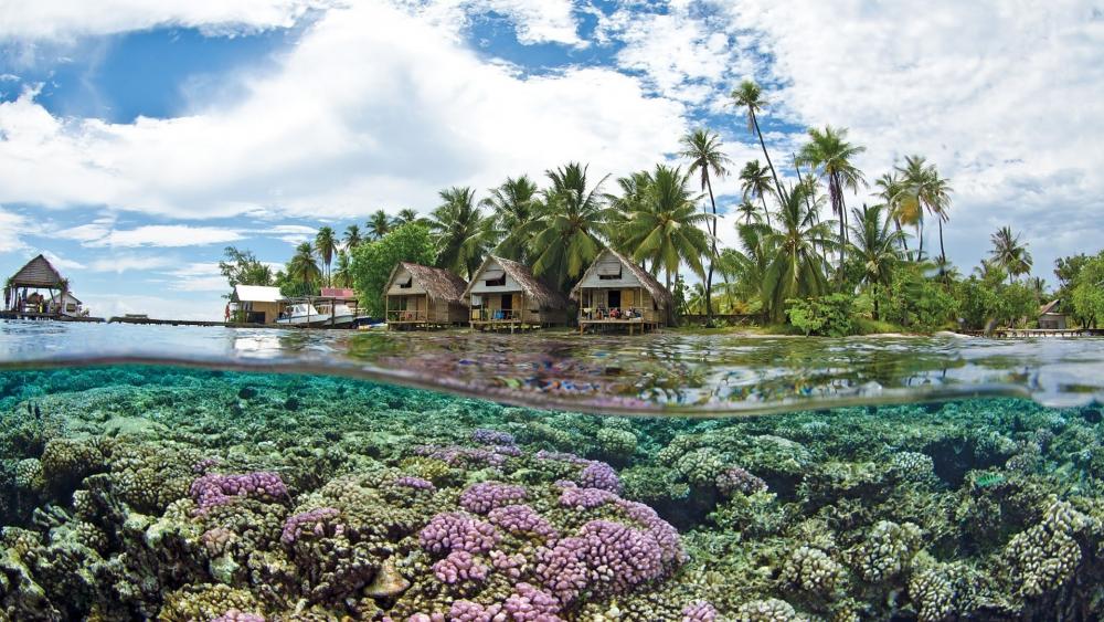 Tahiti Bungalows and coral reef wallpaper