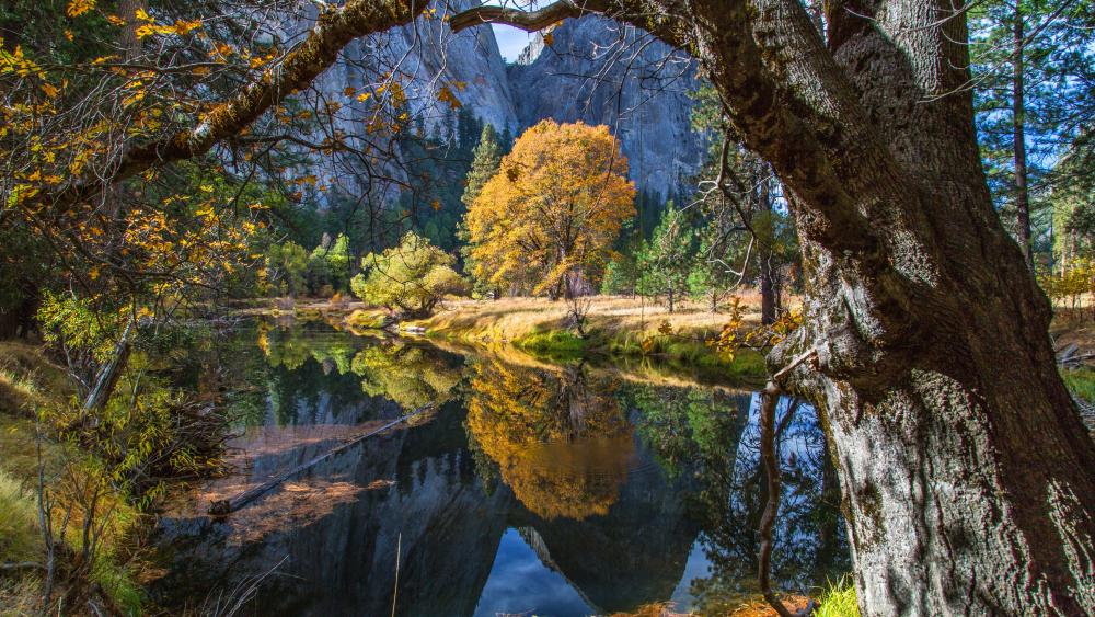 Merced River, Yosemite National Park wallpaper