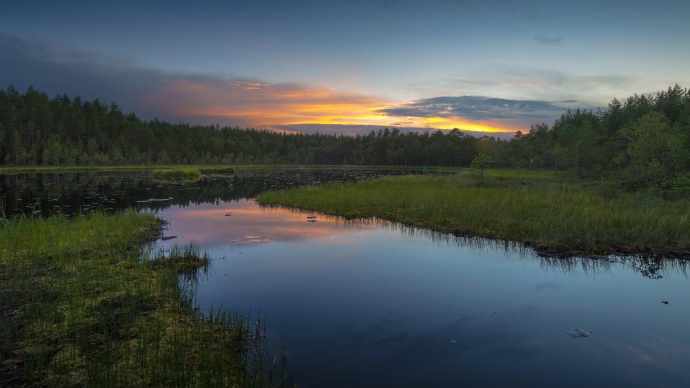 Bayou at sunrise wallpaper