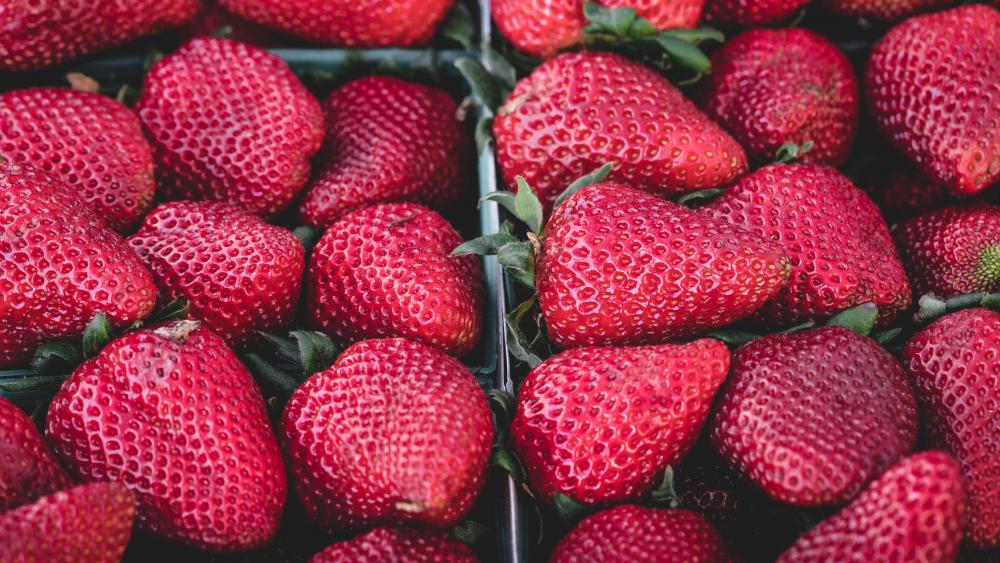 Strawberries wallpaper