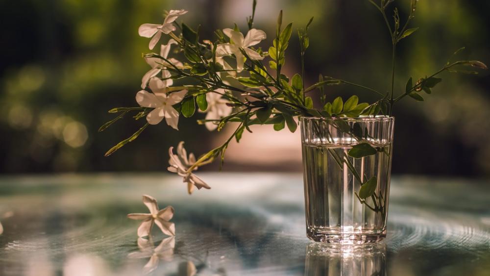 Flowers in a glass of water wallpaper