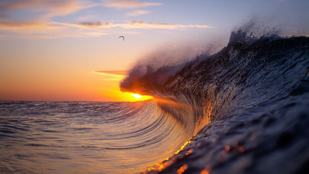 Wave in the sunset wallpaper