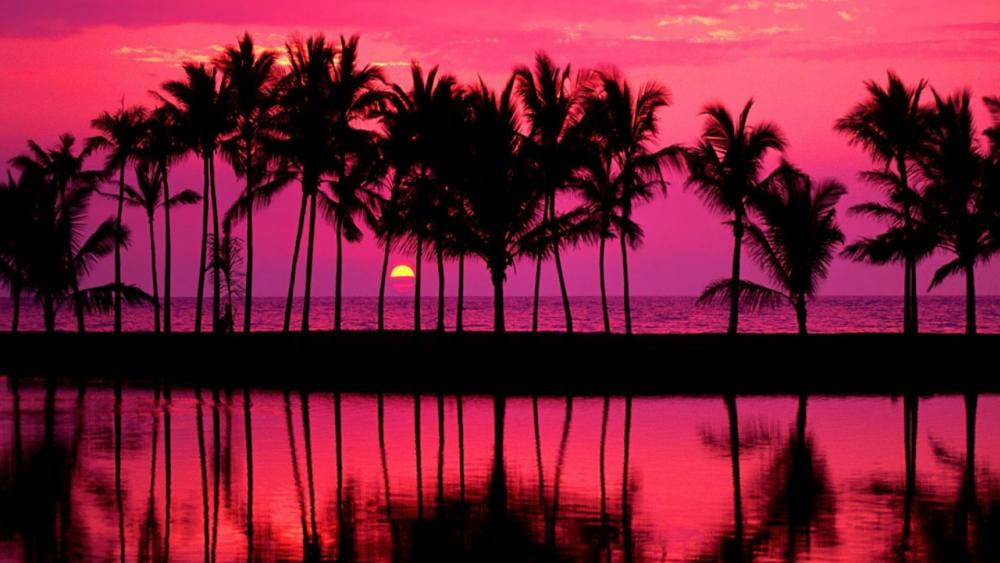 Hawaiian pink sunset over the beach wallpaper