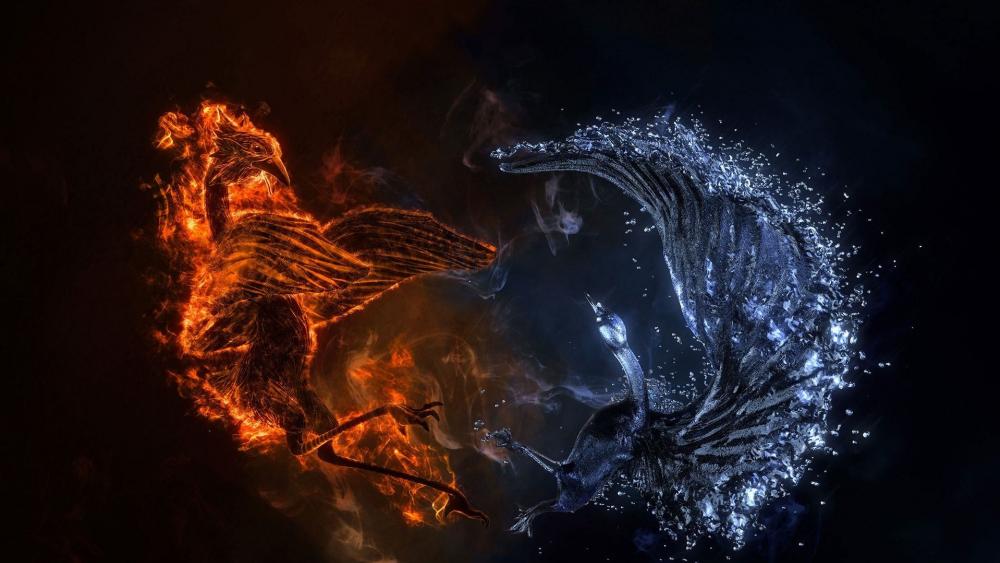 Ice and fire Phoenix birds fight wallpaper
