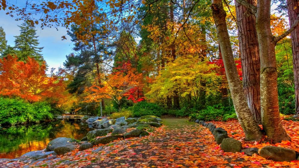 Colorful autumn wallpaper