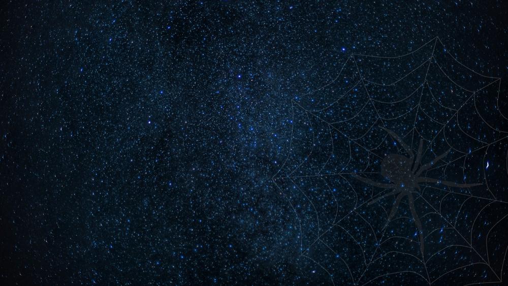 Spider web on the starry sky wallpaper
