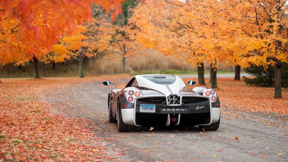 Pagani Huayra in the fall forest wallpaper