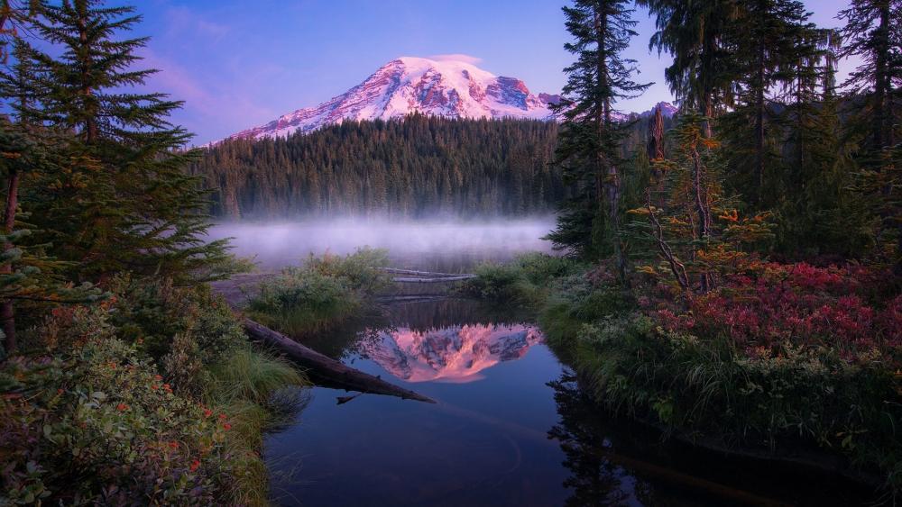 Misty morning in the Mount Rainier National Park wallpaper