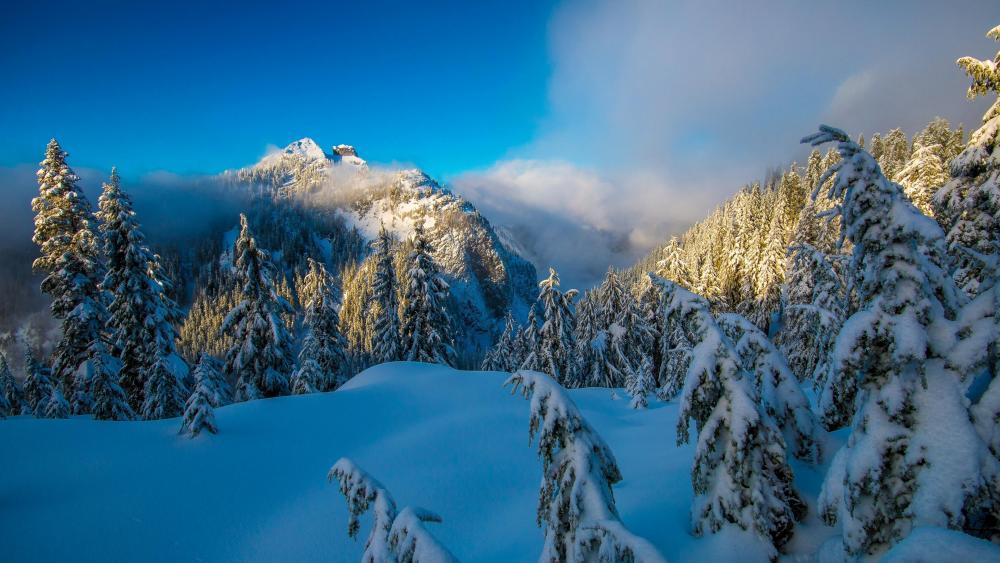 North Shore Mountains (Canada) wallpaper