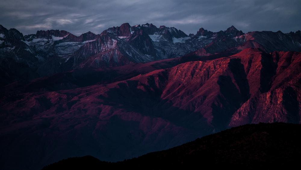 Mountains over the Ancient Bristlecone Pine Forest wallpaper