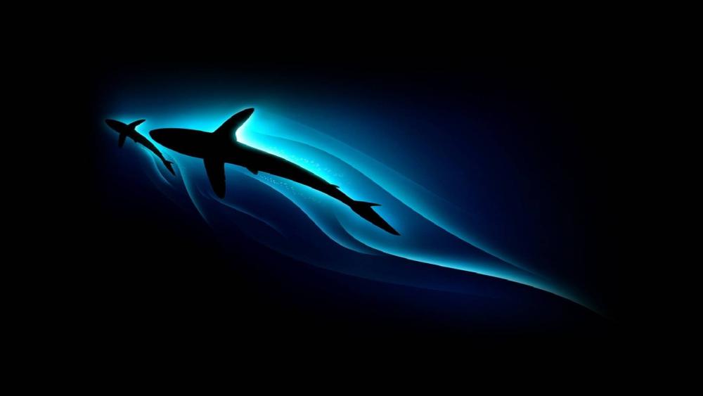 Shark silhouette wallpaper