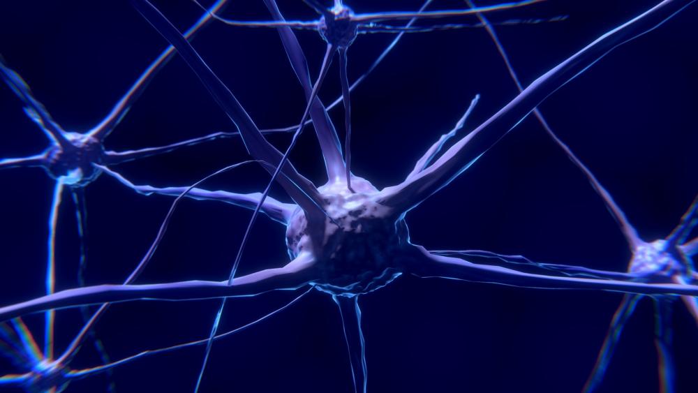 Nerve neuron synapse wallpaper