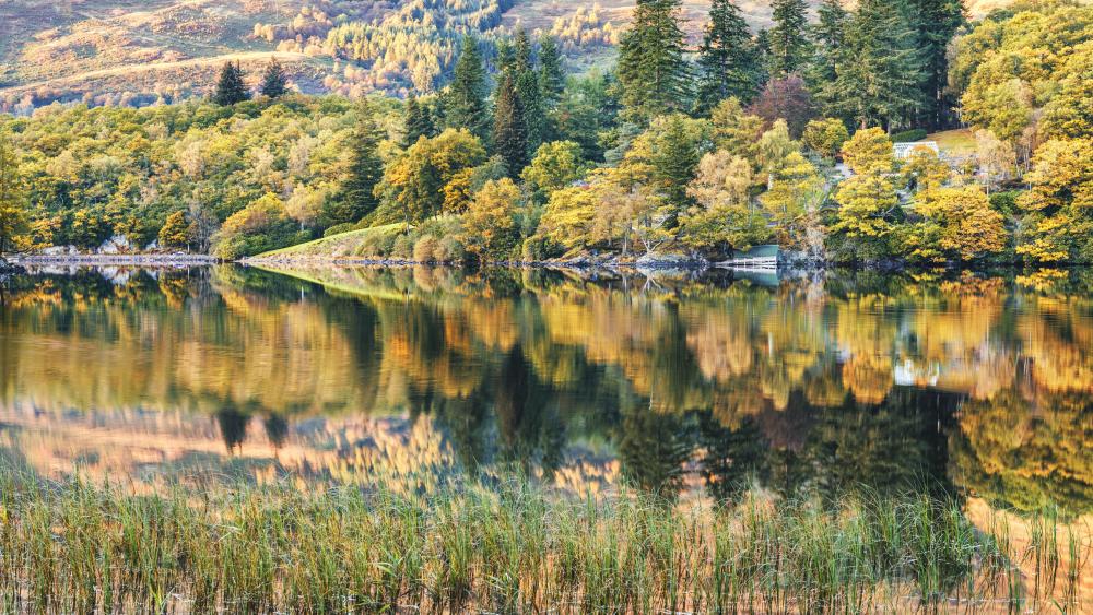 8K Autumn landscape reflection wallpaper