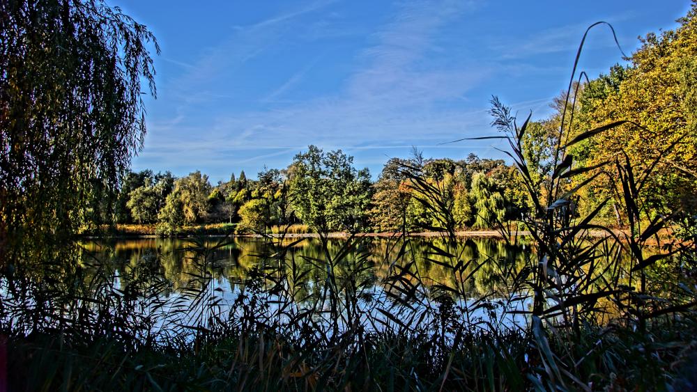 Wittringen lake at fall wallpaper