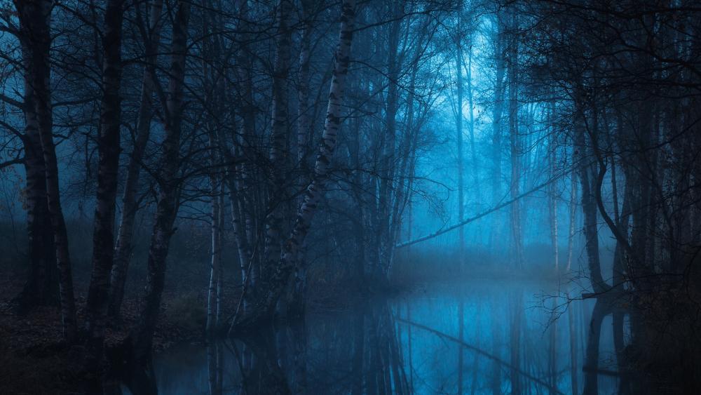 Swamp forest in the blue hour wallpaper